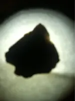 image-3958956823.webp
