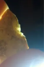 image-1620381441.webp