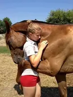 girlhorse.webp