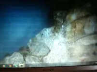 image-4119740879.webp