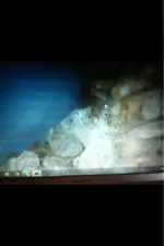 image-1643718496.webp