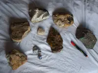 DSCF1592.webp