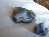 DSCF1594.webp