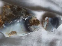 DSCF1621.webp
