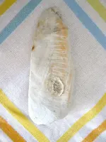 Celt Shell - top Copy.webp