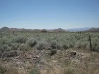 DSCN4363.webp