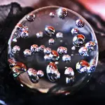 Sphere-blk copy.webp Sphere-blk copy.webp