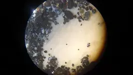 micro6.webp