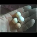 marbles.webp marbles.webp