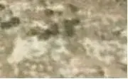 pic1.webp