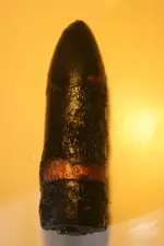 NH FINDS 06-28 003.webp