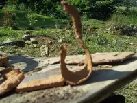 iron thingy.webp