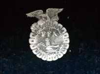 FFA Pin.webp