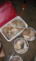 cans and box of rocks.webp