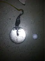 image-2002721511.webp