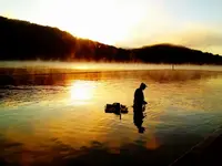 image-4039356515.webp