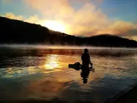 image-4204422653.webp