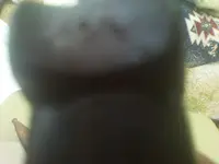2012-08-09 11.57.01.webp