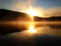 image-2117702154.webp