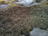 rocksigns2close.webp