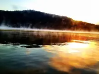 image-428603585.webp