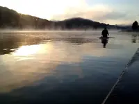image-153188927.webp