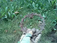 Unk - Front Yard - 9 Aug 2012.webp
