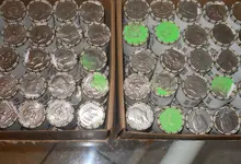 DSCN5098.webp