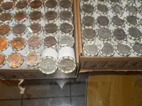 DSCN5225.webp