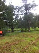image-3637989848.webp