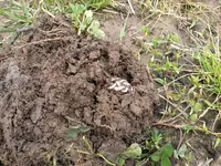 2012-06-04 12.45.15.webp