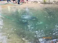 Divers in Blue hole.webp