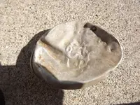 DSCF1141.webp