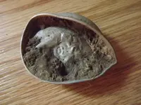 DSCF1132.webp