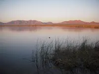 DSCN4453.webp