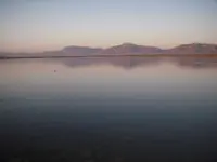 DSCN4455.webp