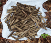 .30-06 after digging.gif