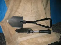 195_9579.webp