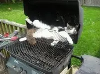 image-1610242565.webp