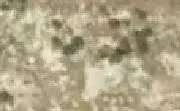 pic 2222.webp