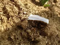Mystery blade insitu.webp