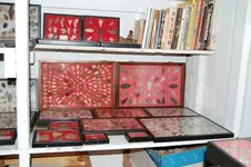 Pictures010.webp