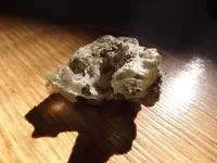 DSCF1133.webp