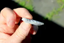 Mystery blade.webp