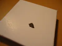 DSC00135.webp