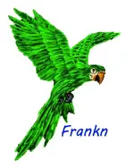 On The Wing green 500.webp