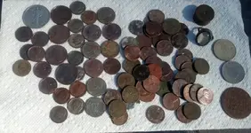 Yard Finds.webp