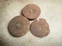 shotgun shells.webp