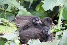20120629_15.webp