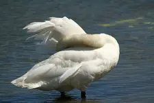 20120629_20.webp